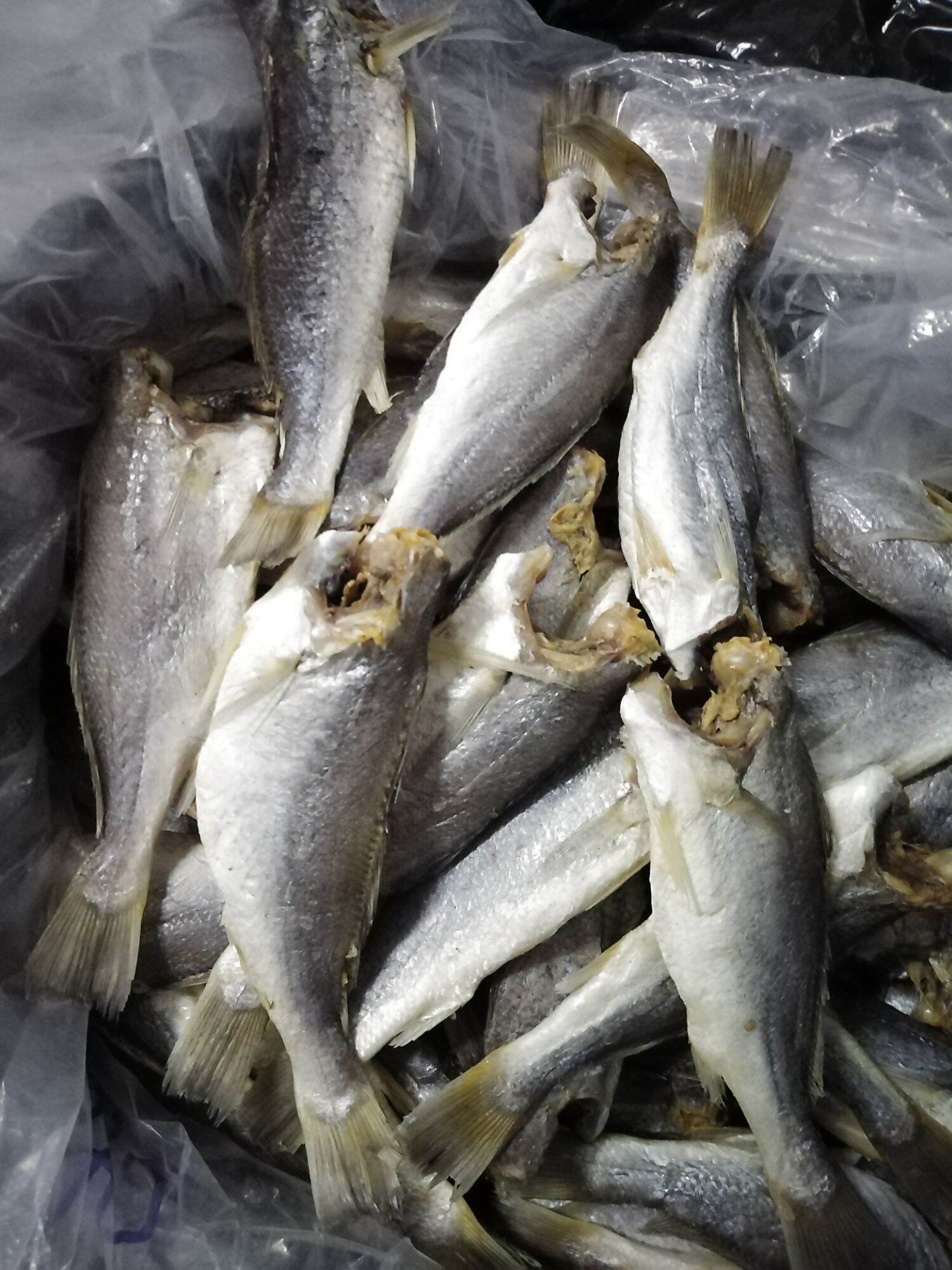 1KG KHÔ CÁ ĐÙ