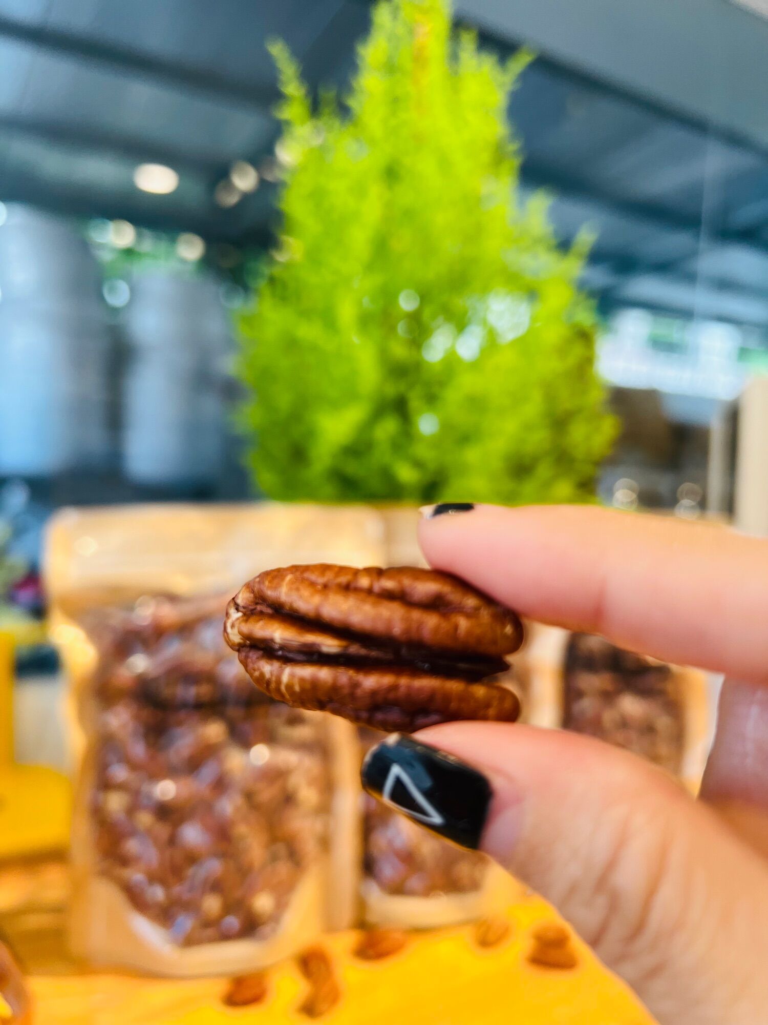 Hạt Hồ Đào Nhân - PECAN KERNEL The Nuts Valley