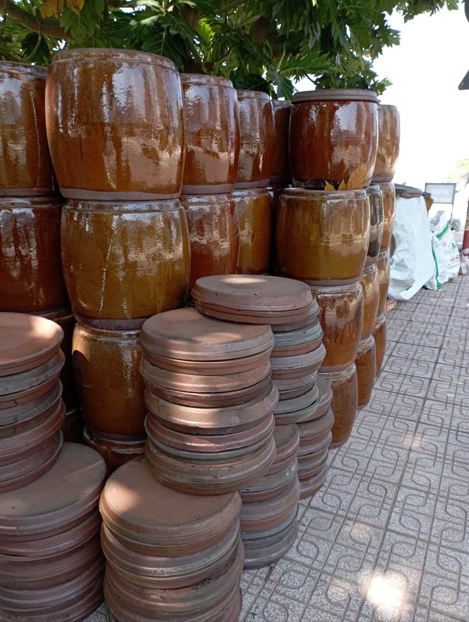 Chậu trồng cây, Lu chậu trồng sen nuôi cá