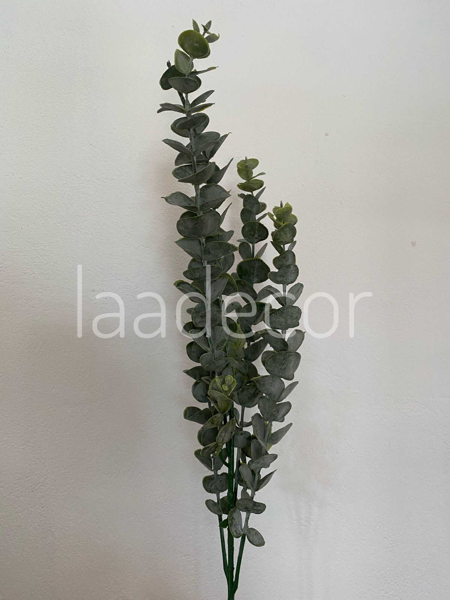 Lá cây bạch đàn trang trí - decor (Ảnh+video thật)