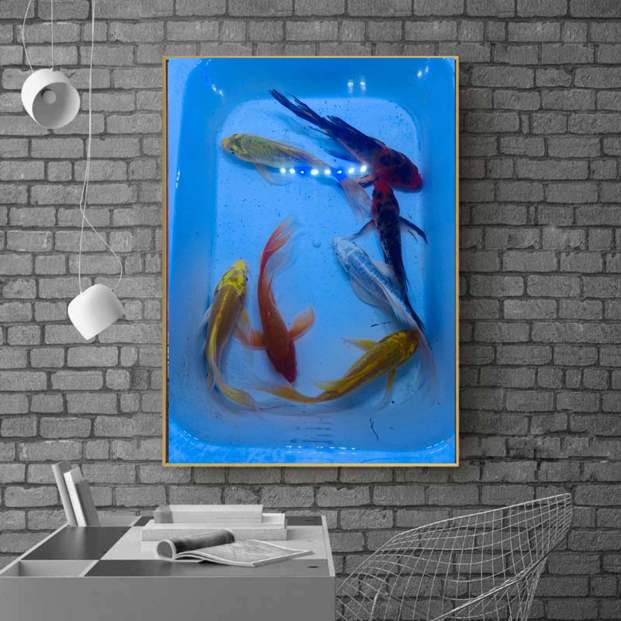 TRANH TREO TƯỜNG 3D 🐳 CHÉP PHỤNG 7CM