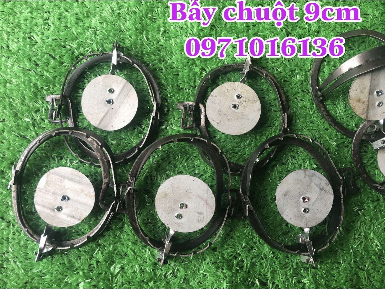 10 CẠM BẪY CHUỘT 9CM