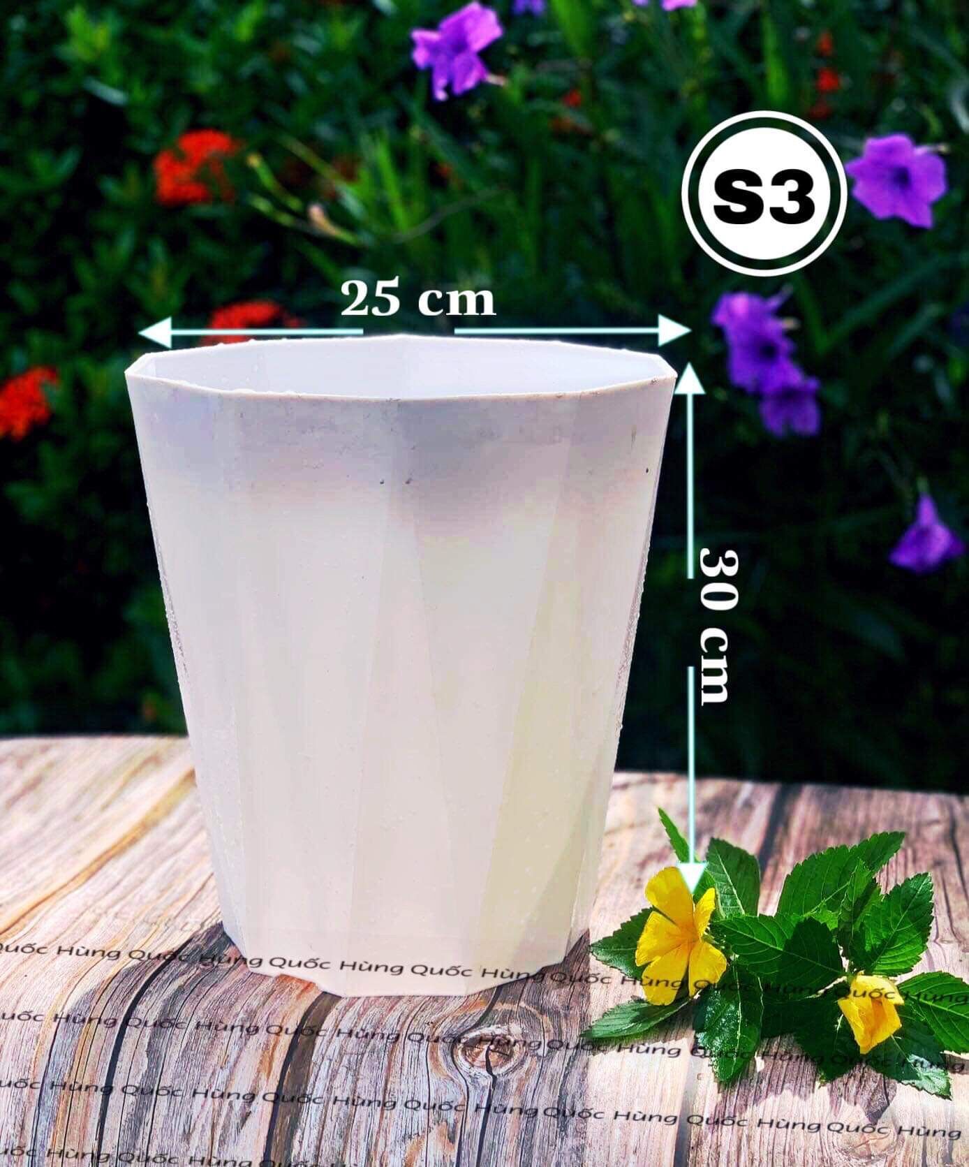 Chậu nhựa trồng cây Kim Cương S3