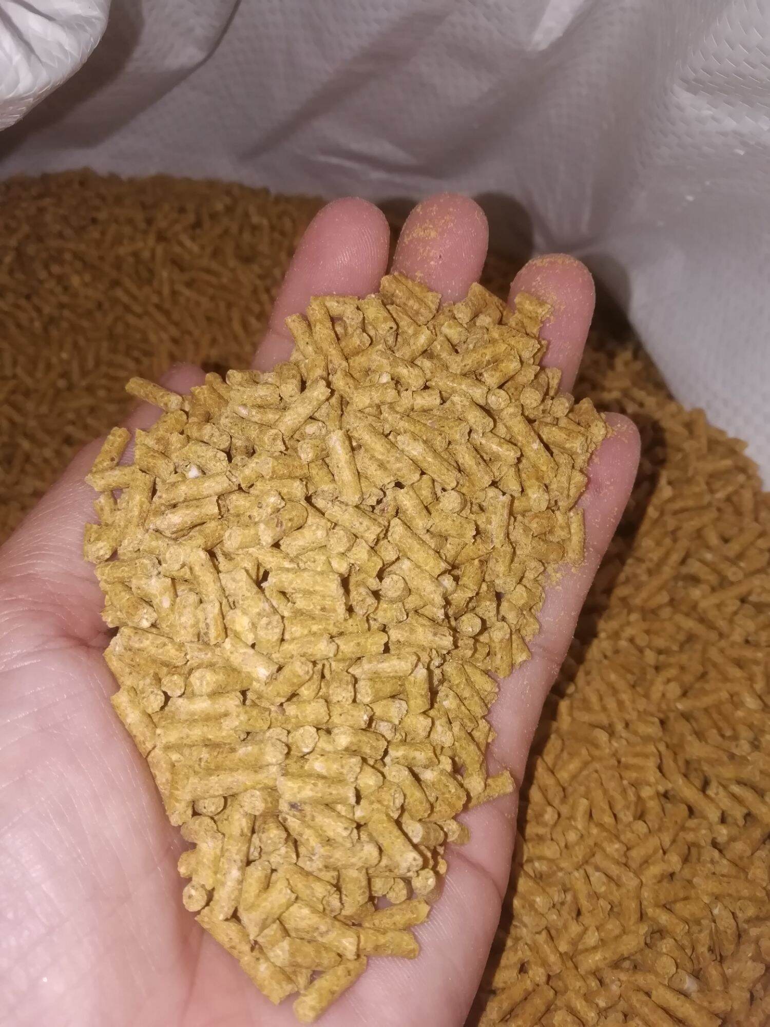 Cám gà lớn 1kg