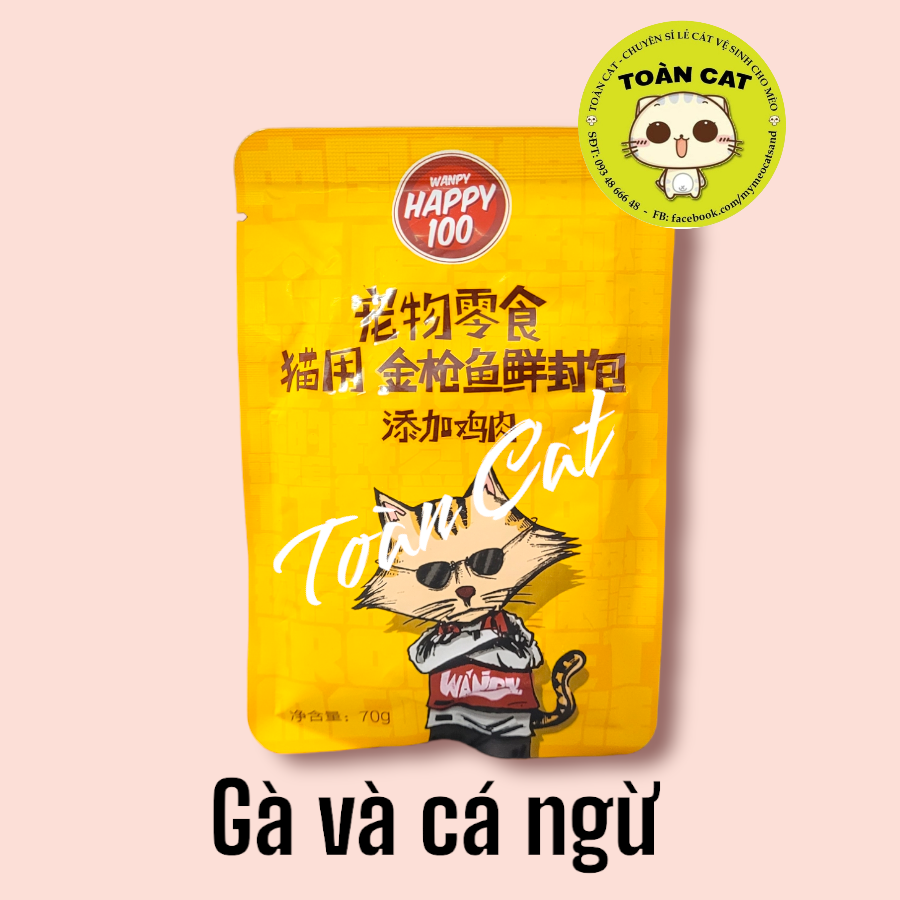 Combo 12 gói pate wanpy happy 100 cho mèo gói 70g- pate cho mèo