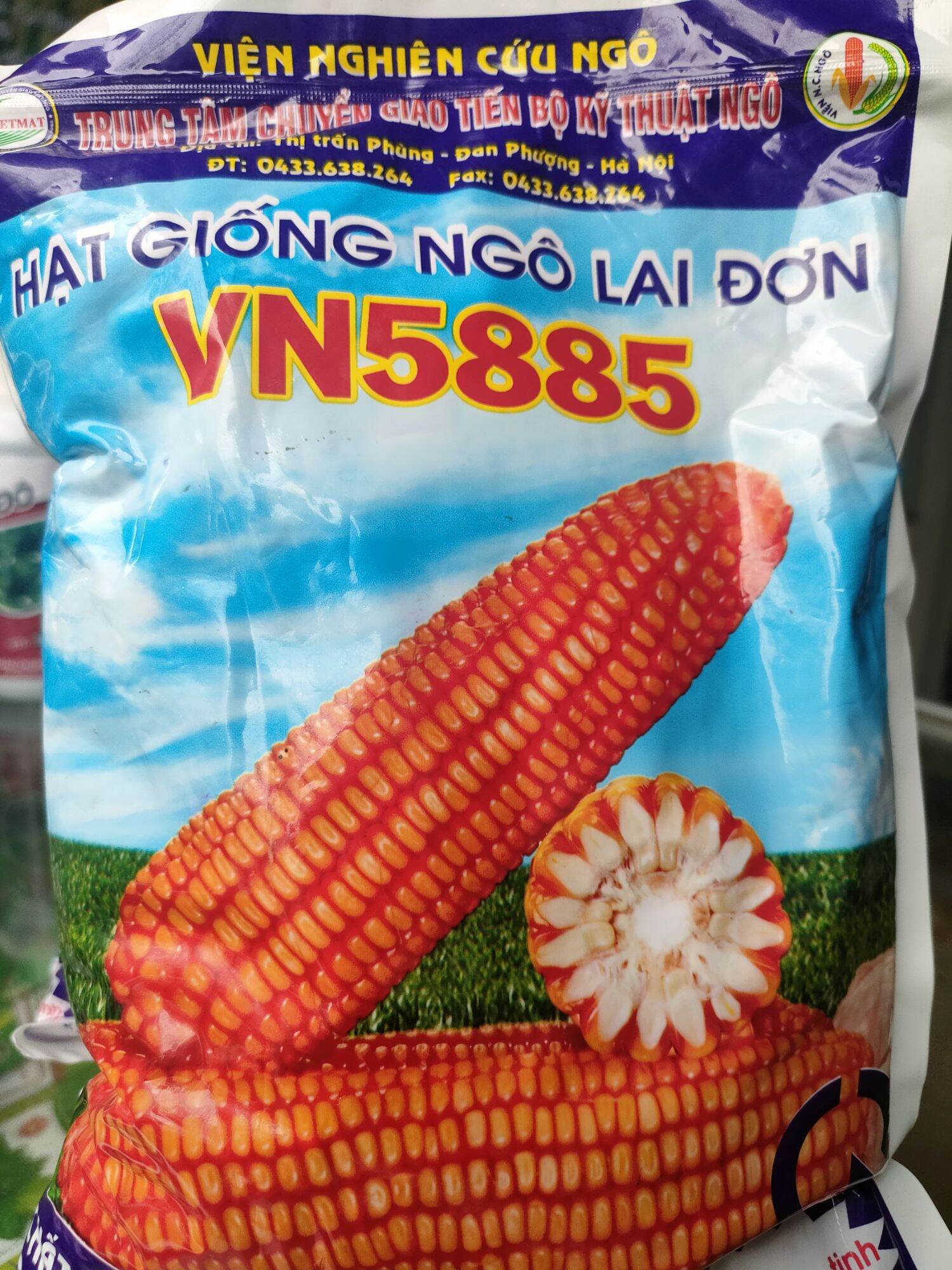 Hạt giống ngô F1 VN5885