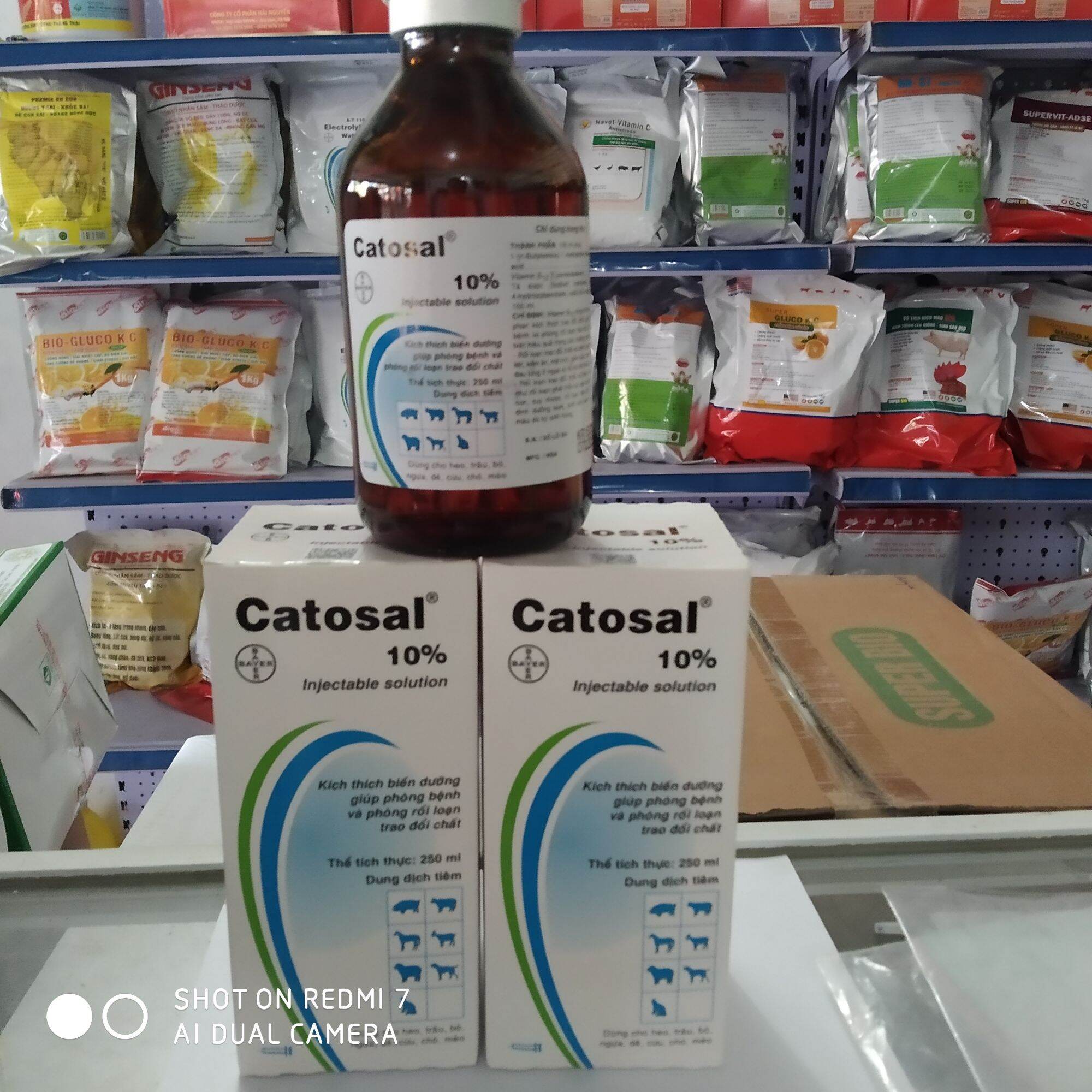 Catosal thuốc bổ cho gia súc gia cầm 100ml