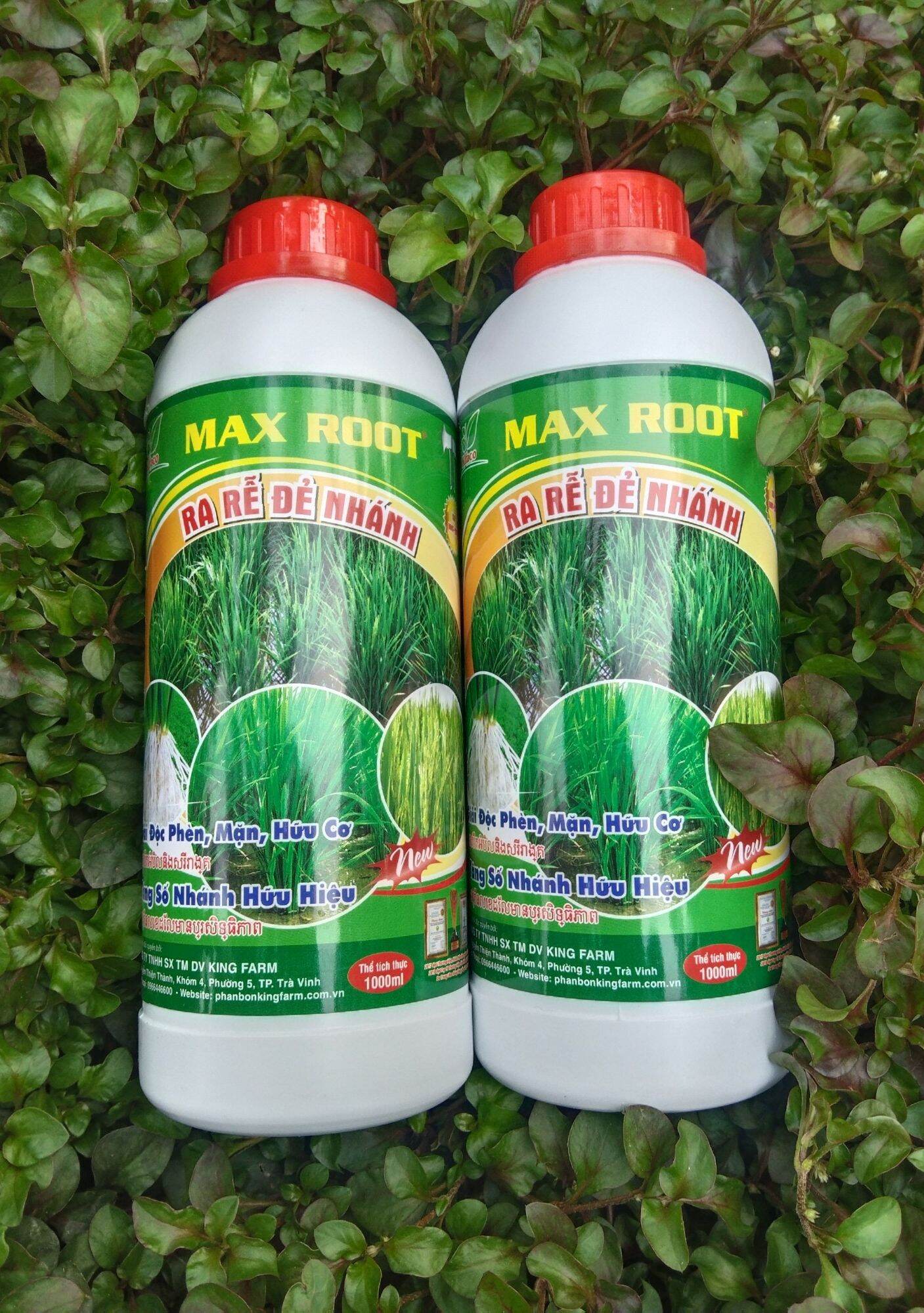 Max root - ra rễ đẻ nhánh - chai 1l