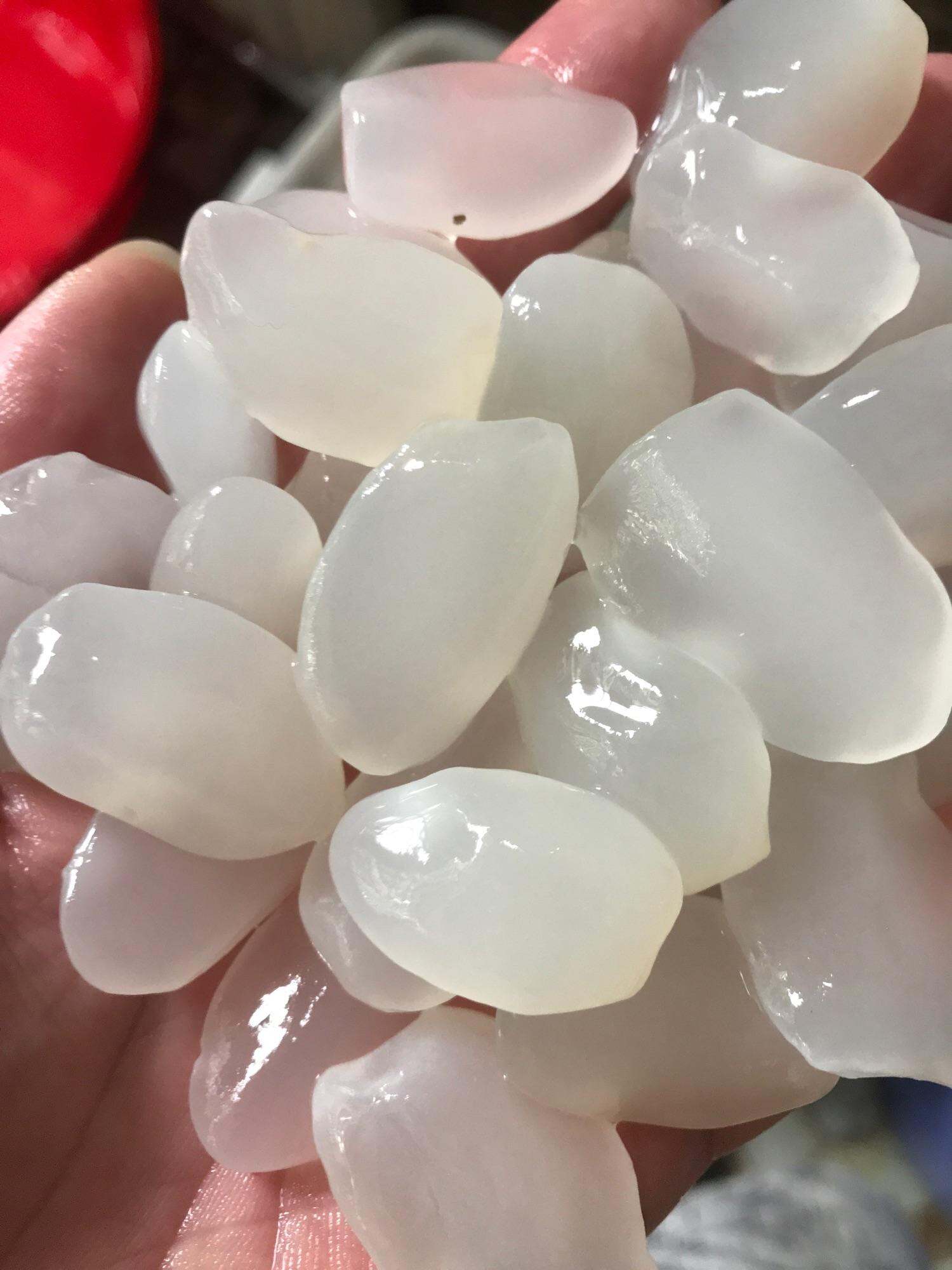 1kg hạt đác tươi loại nhỏ mềm dẻo không cứng