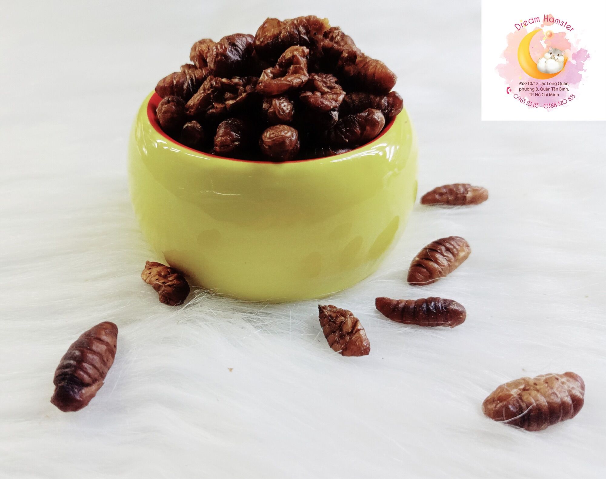 Nhộng tằm sấy cho hamster (20gr)