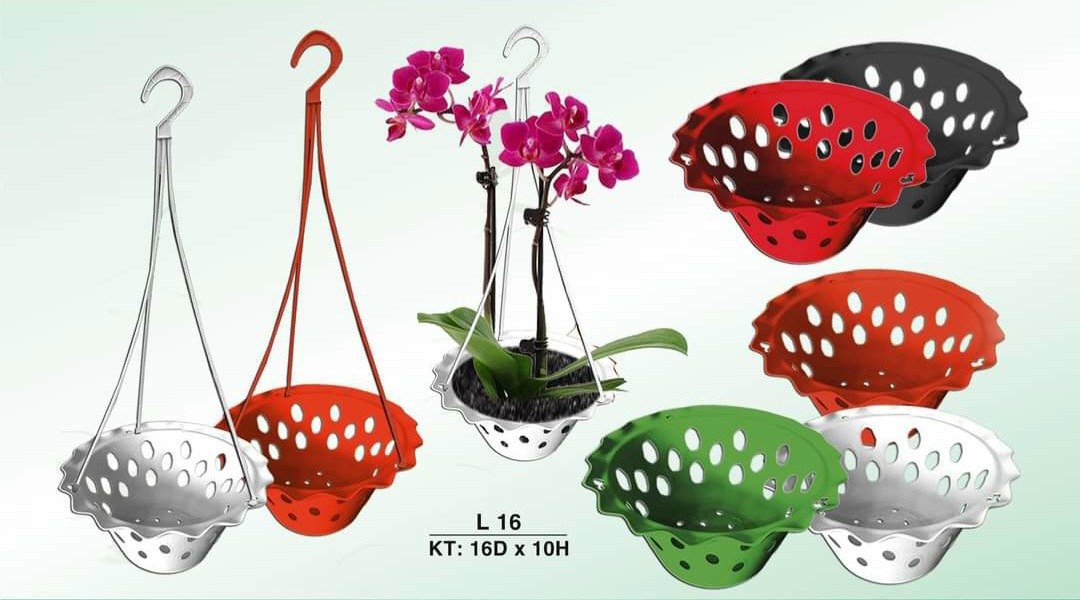 Chậu nhựa trồng lan phi 16 miệng bèo 3 màu