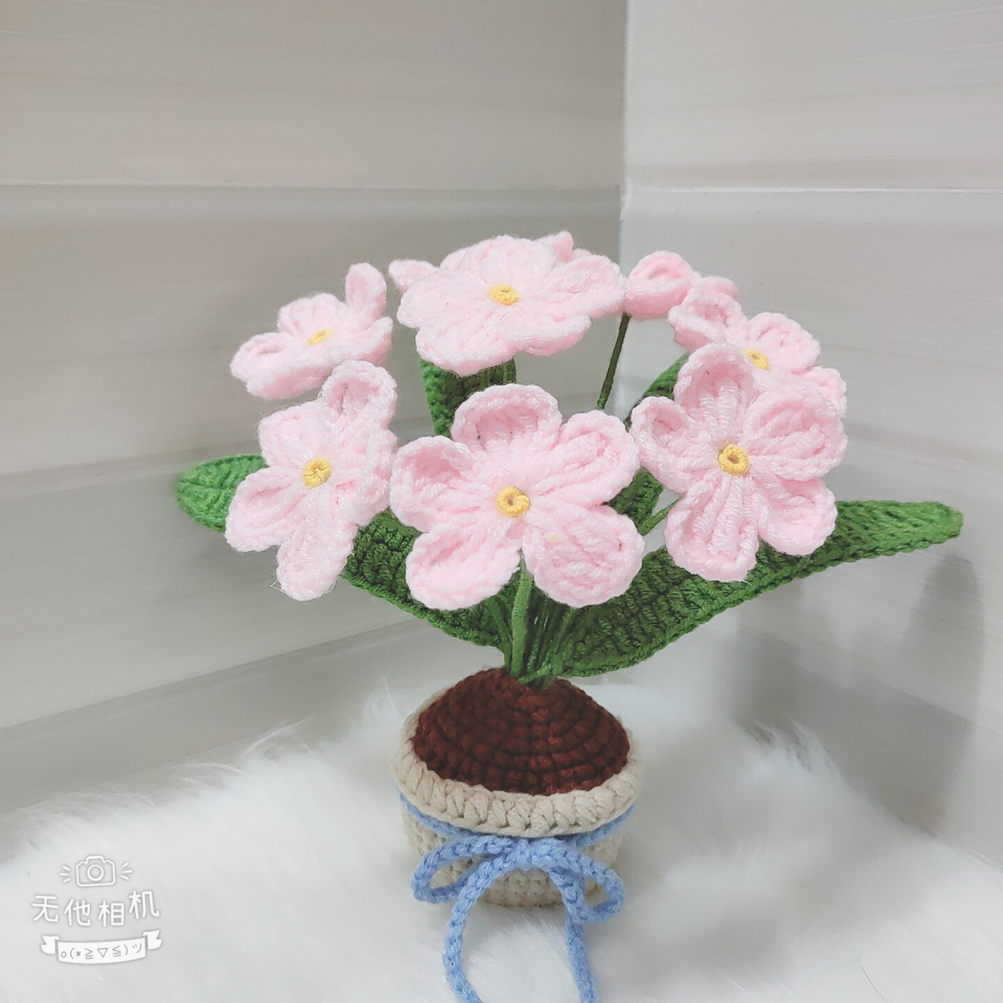 [Ảnh thật - Có sẵn] Chậu hoa lưu ly để bàn bằng len handmade