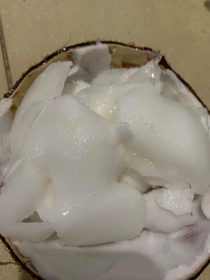 Dừa sáp sệt loại to trên 1,3kg