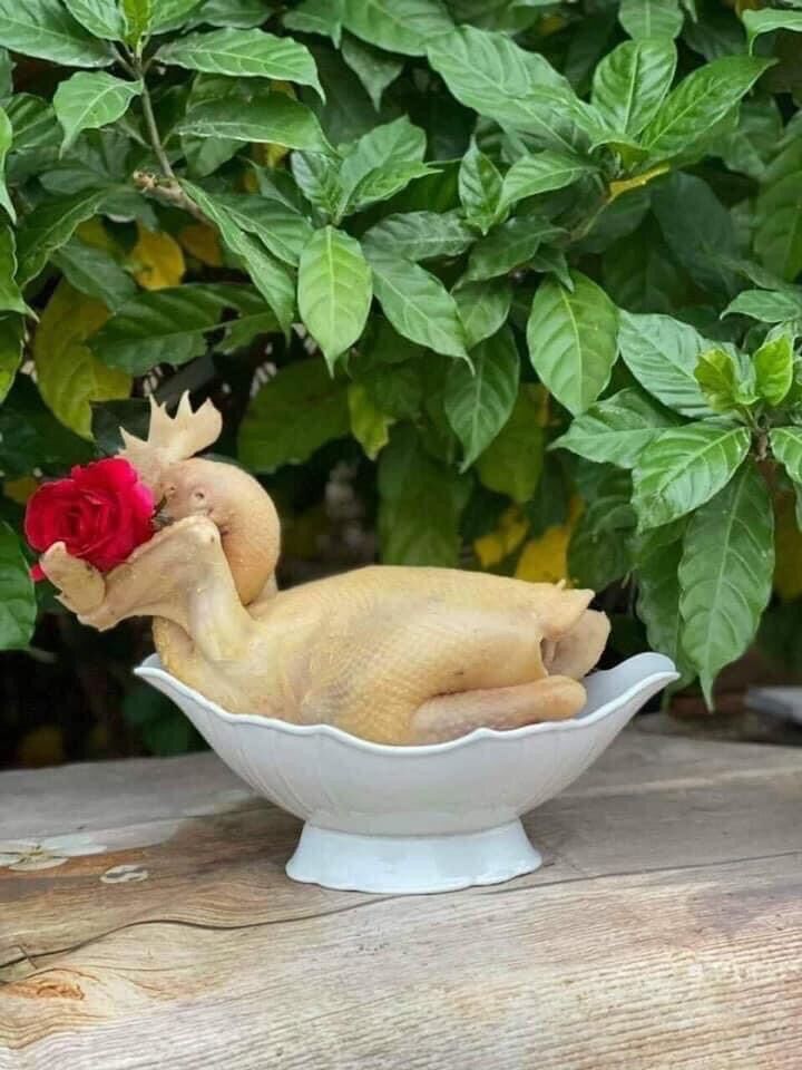 Bát thuyền gà. Bát đựng gà Bát Tràng. Bát đựng hoa quả trang trí