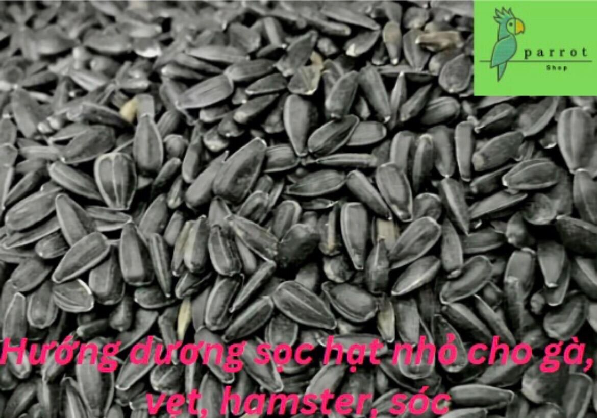 1kg Hướng dương đen hạt nhỏ cho gà, vẹt, hamster, sóc...