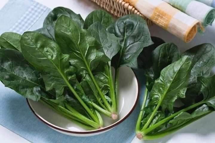 Hạt giống cải bó xôi
