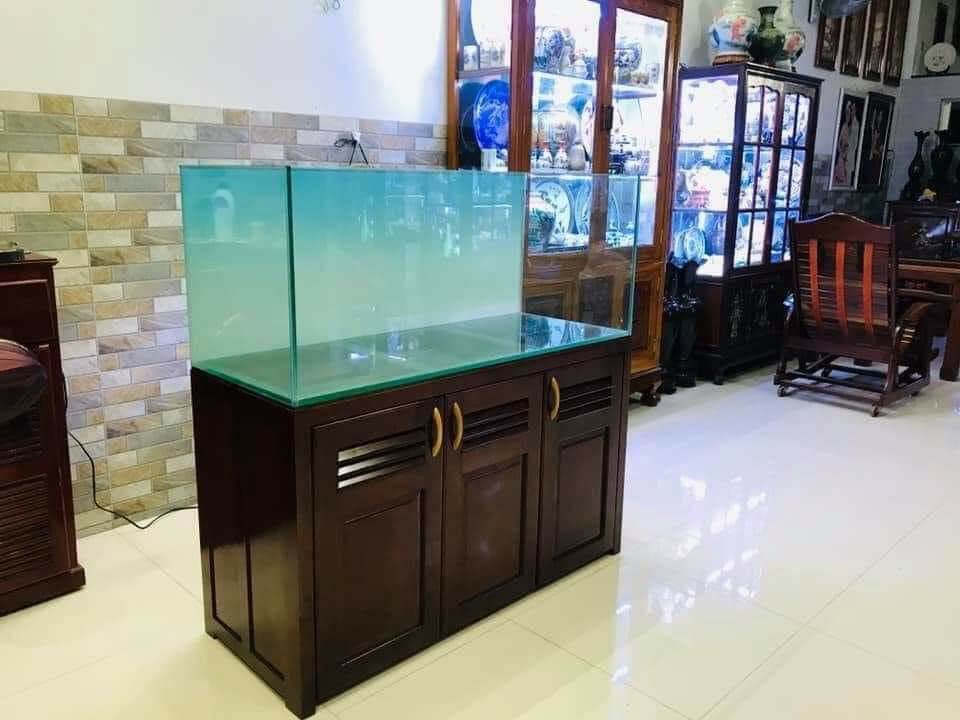 tranh 3d bể cá ADA