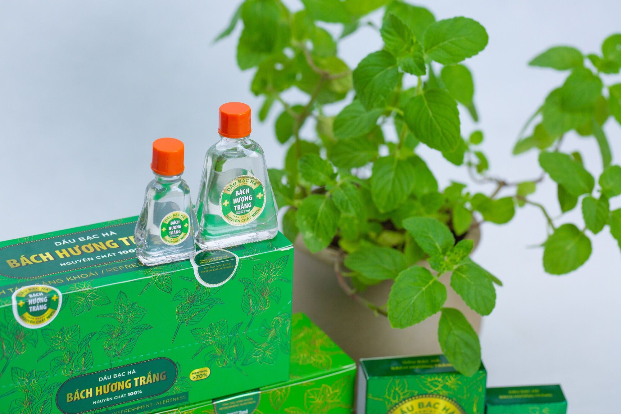 Tinh dầu BẠC HÀ 3ml - phù hợp trong phòng kín và trên xe !