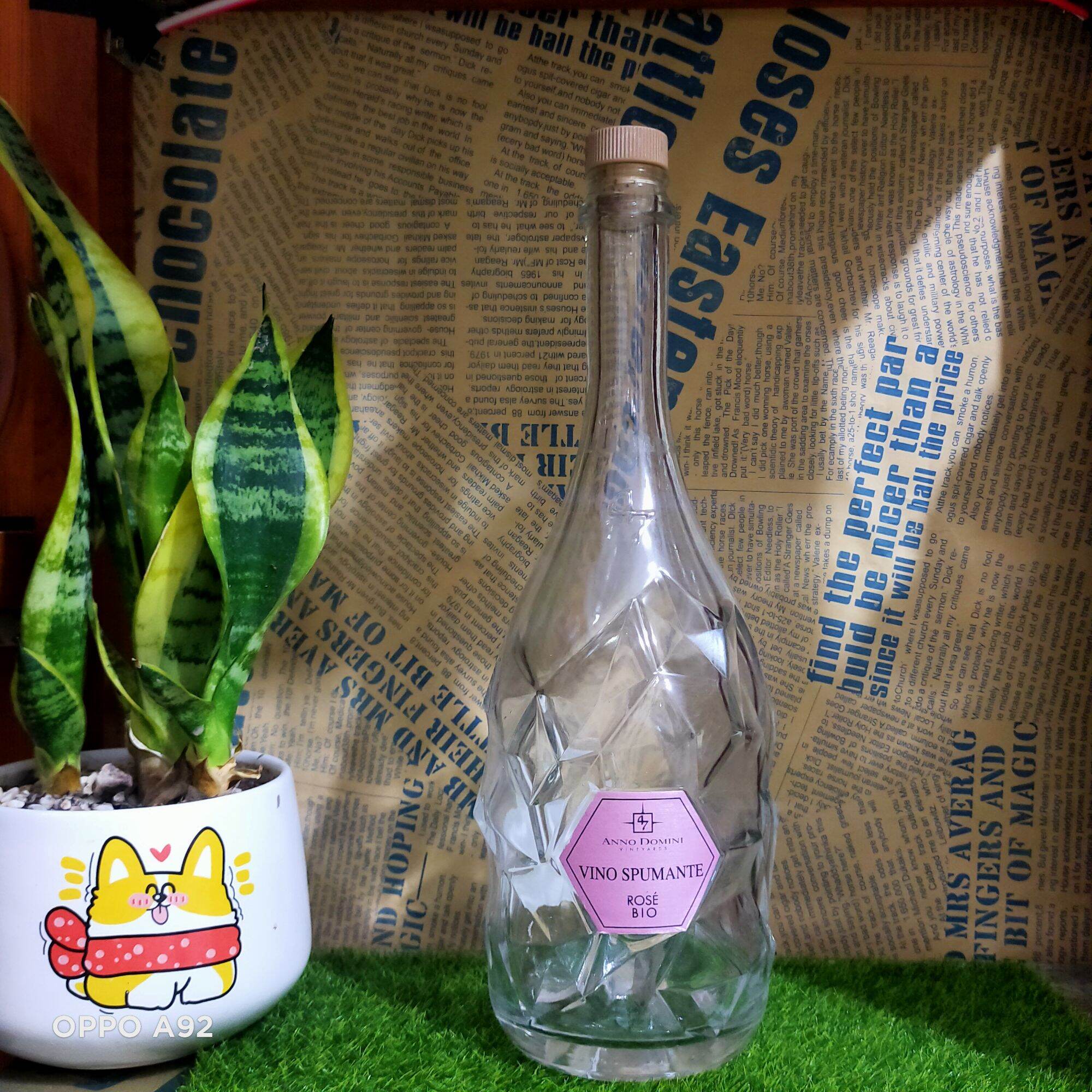 Vỏ chai thuỷ tinh Processco dáng cao dung tích 700ml