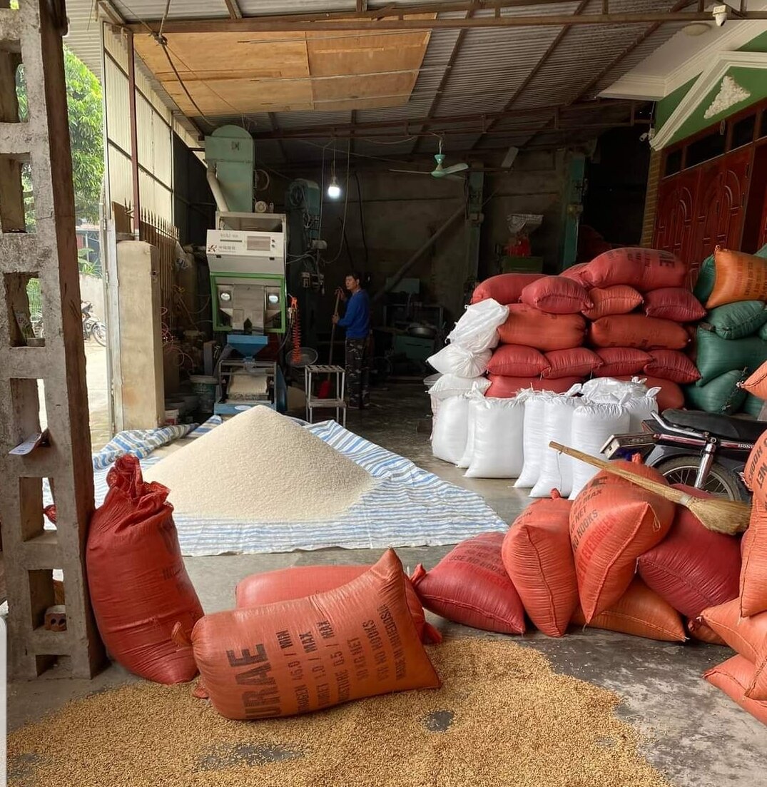 10 kg gạo séng cù loại 1