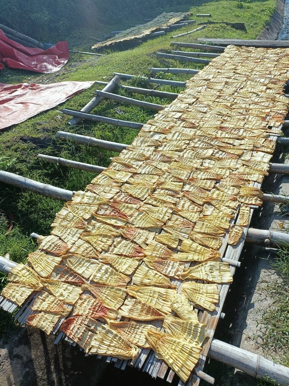 Măng mầm Tây Bắc loại 1 thơm ngon non