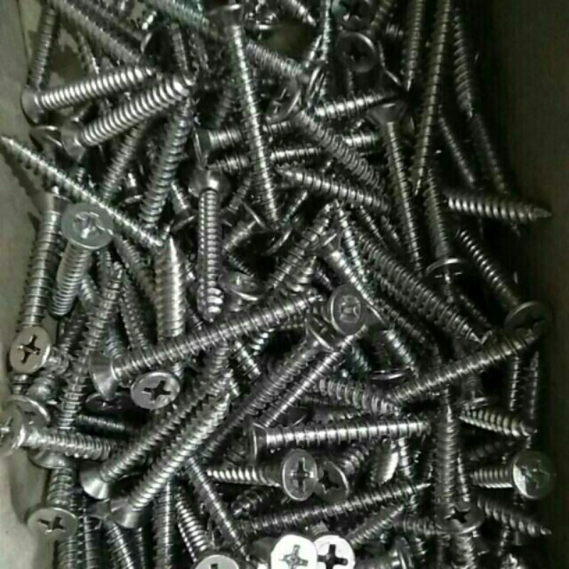 100 gr vít inox đầu bằng bắt nở nhựa