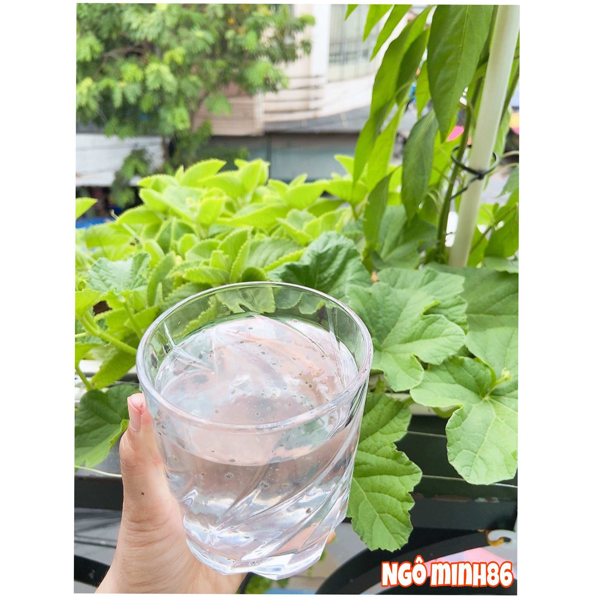 Mủ trôm xay mịn 250g