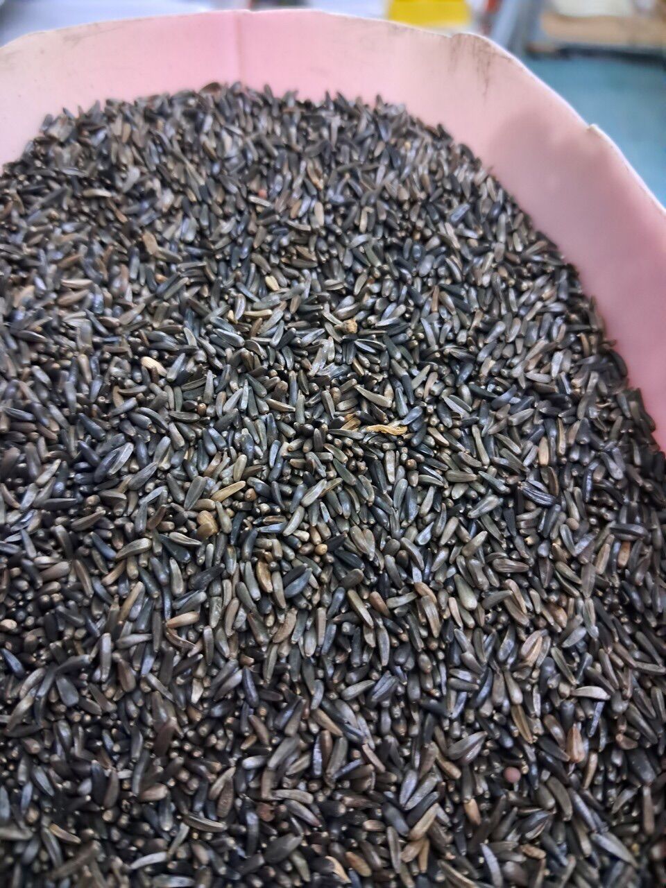 Gói 200g hạt niger kích cồ sinh sản cho chim