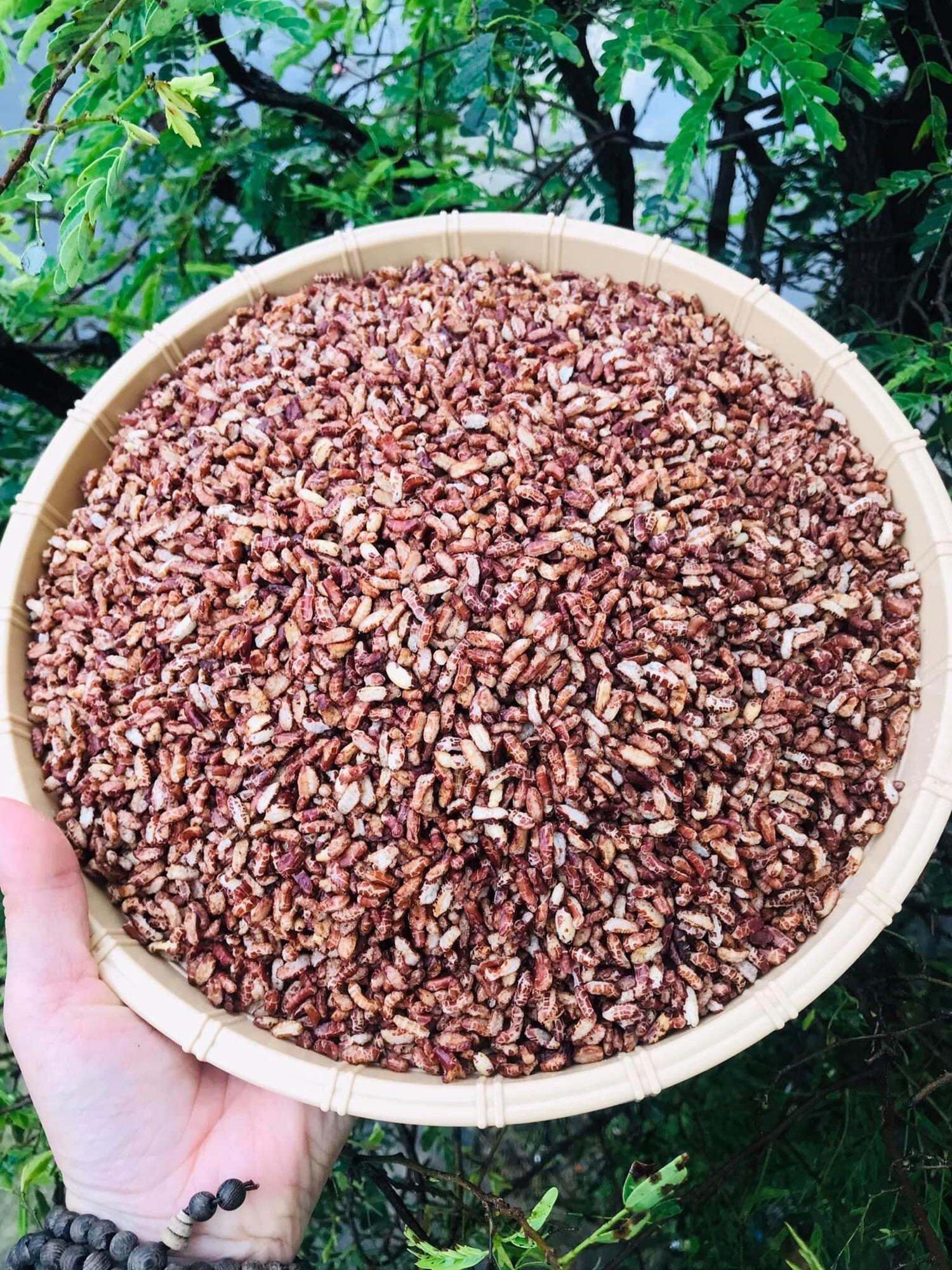 500g gạo lứt rang tẩm vị - gạo chuẩn thương hiệu Mama Mart