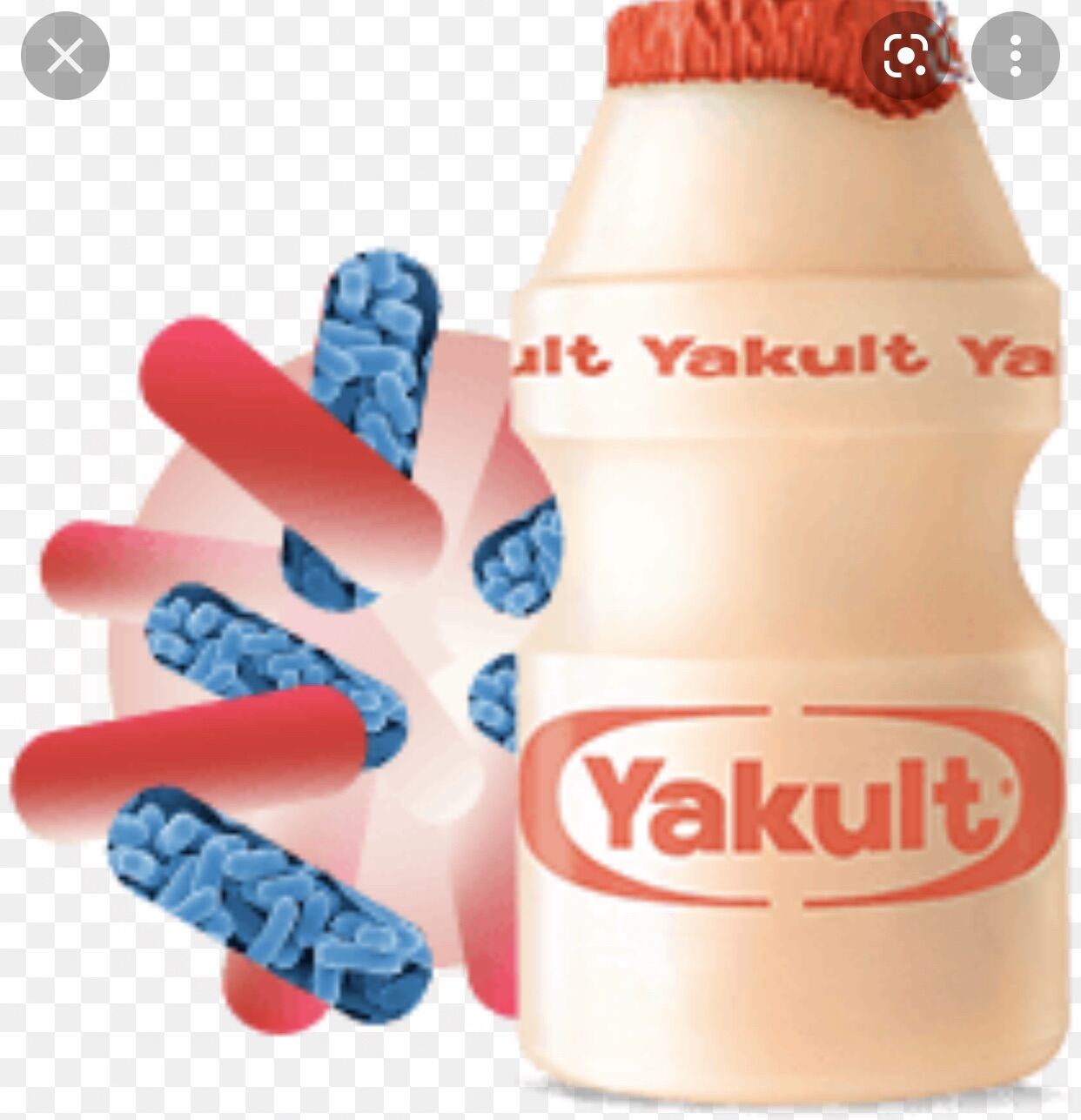 Sữa chua uống yakult / 50 chai