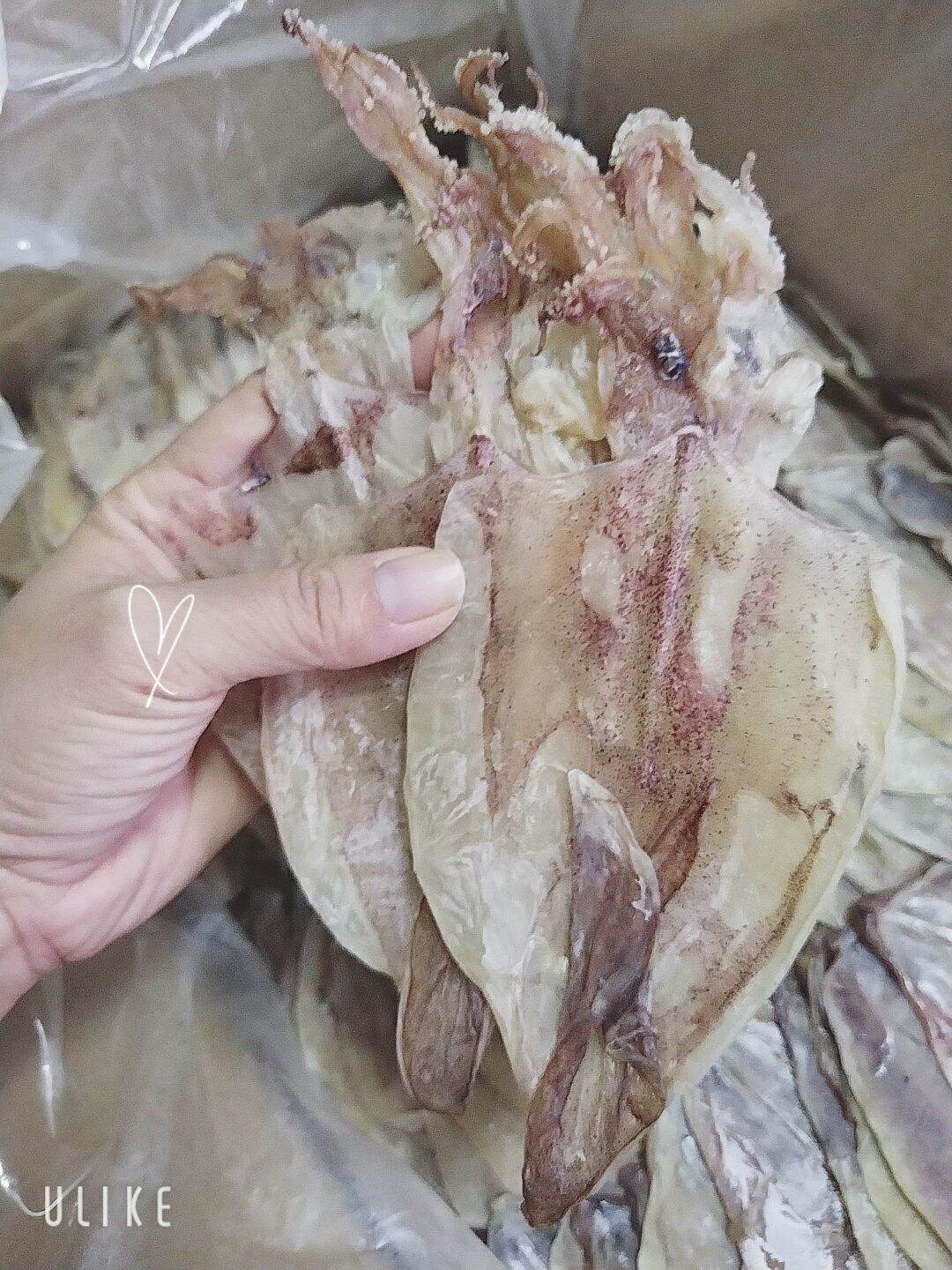 Khô mực lớn 10con/túi Freeship