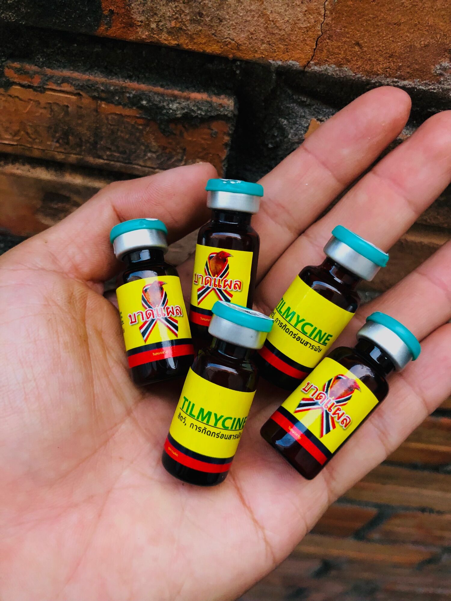 Tilmycine khò khè, khẹt, sổ mũi, sưng phù đầu