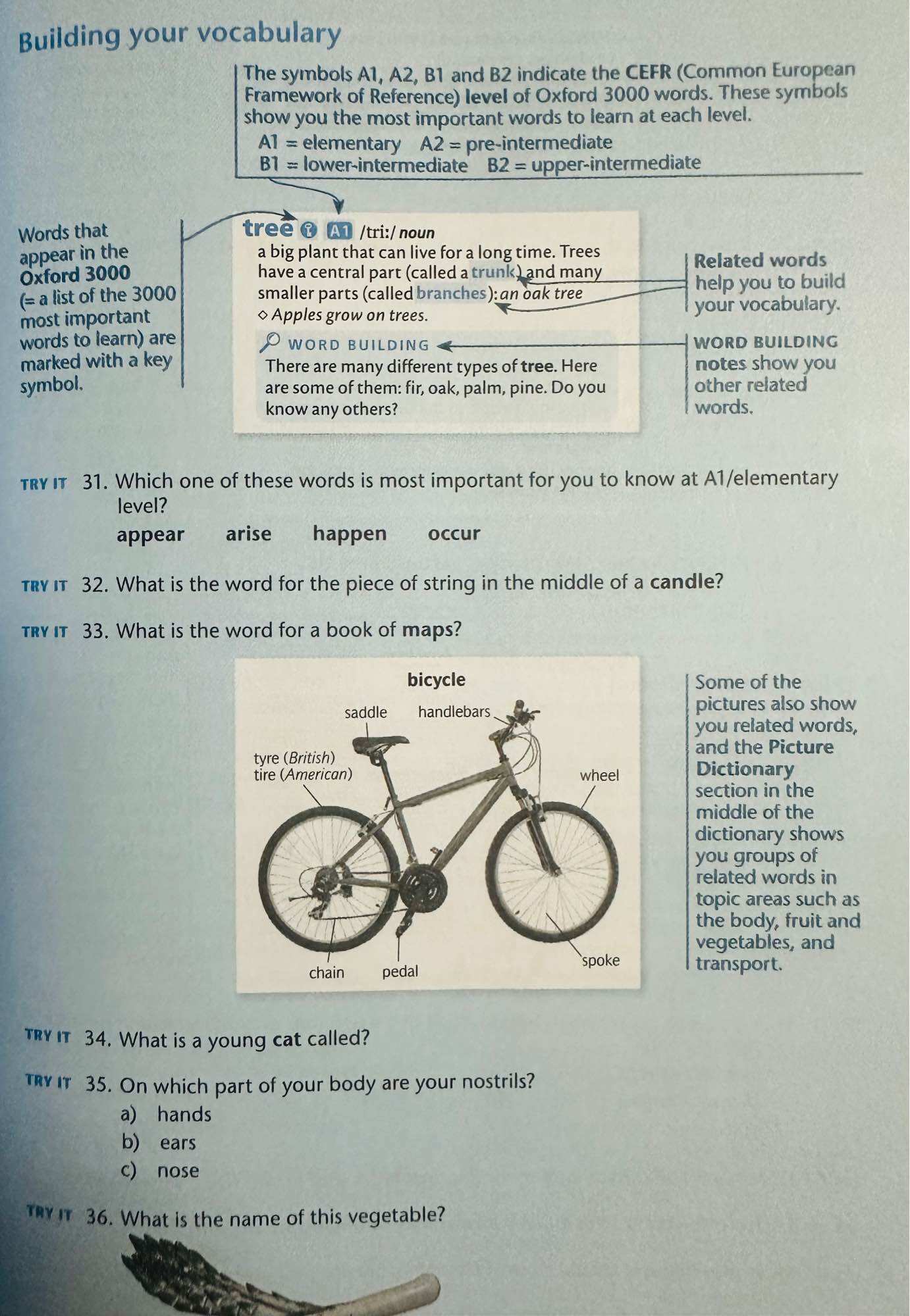 Oxford Basic English Dictionary 5th Edition