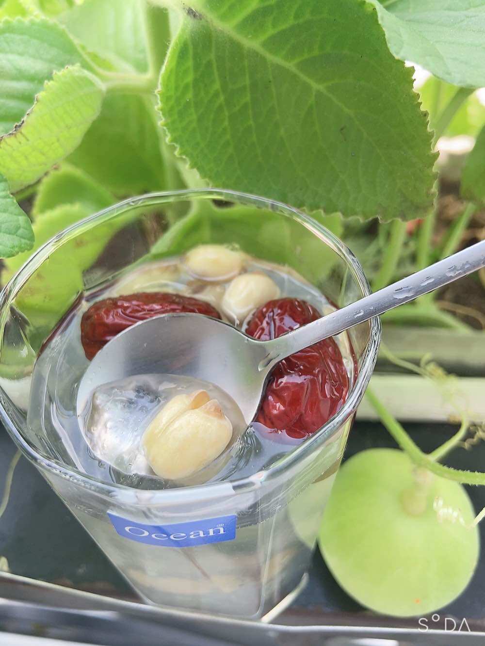 Mủ trôm xay mịn 500g