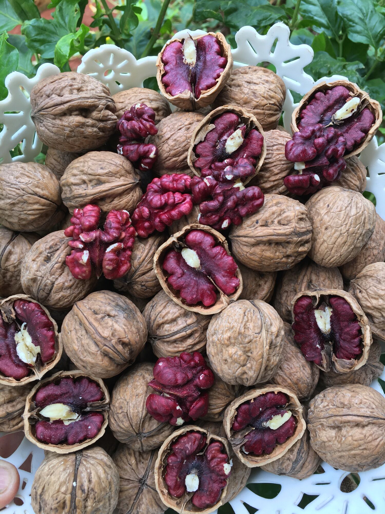 Nhân Óc chó đỏ Hảtley Mỹ 500gr _ Hàng nhập khẩu