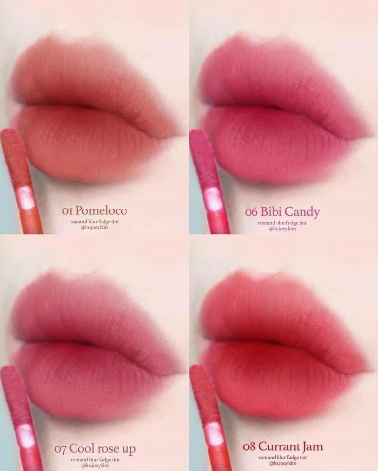 Son Tint Romand Blur Fudge