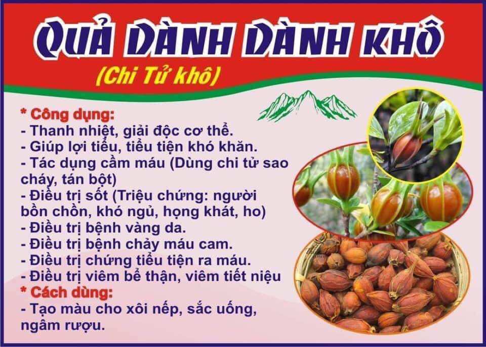 Quả dành dành (quả chi tử) sấy khô