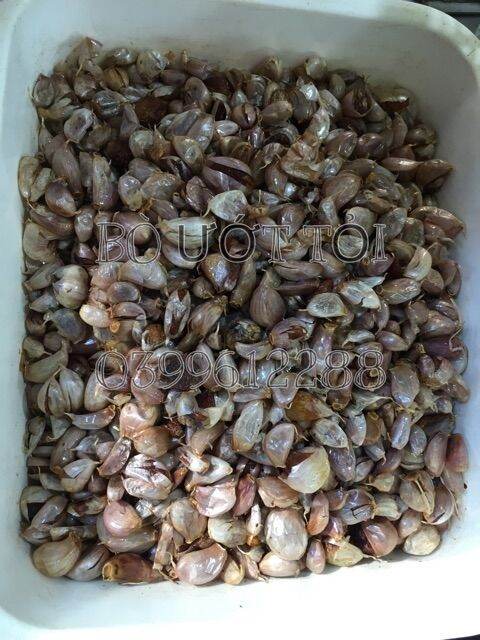 Thịt Bò Khô Ướt Tỏi - Bò Miếng Gói 100g