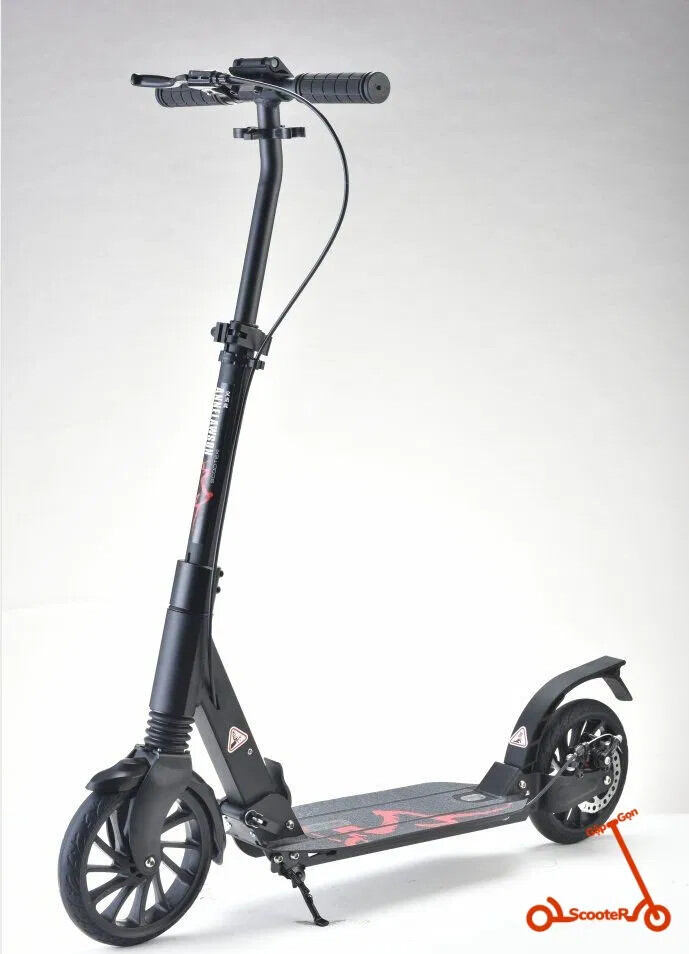 Xe trượt