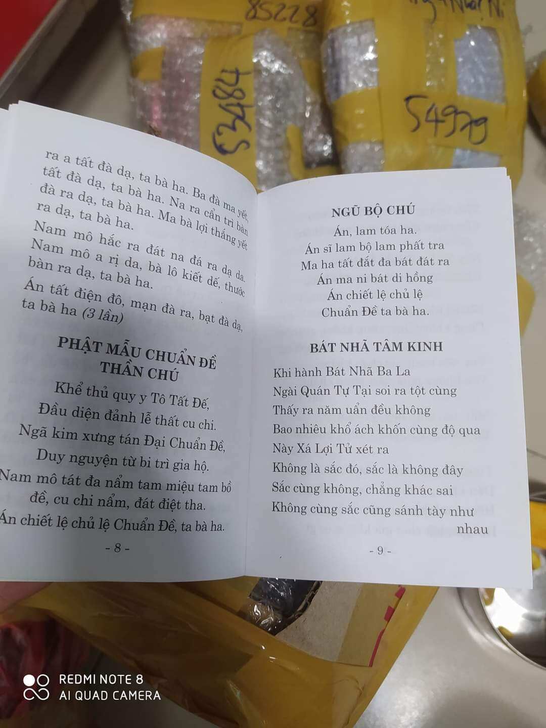Kinh Bạch Y Cứu Khổ