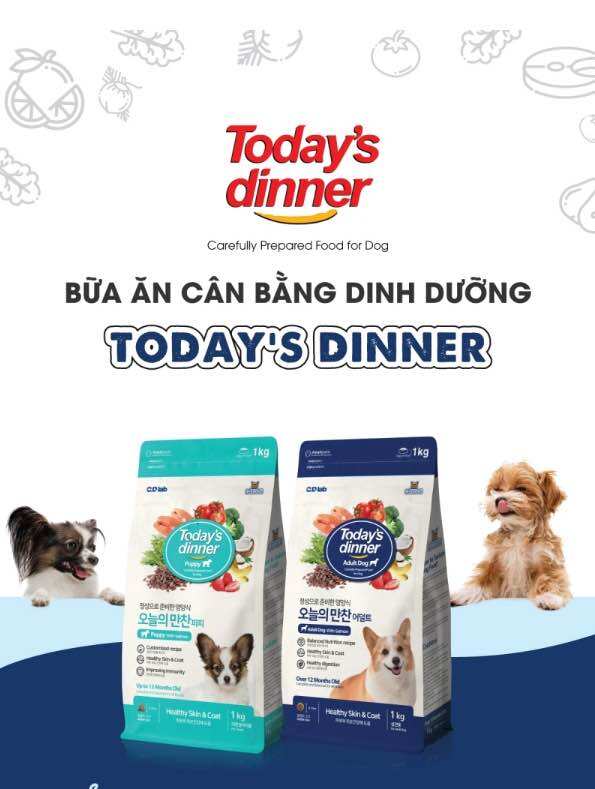 Hạt thức ăn Today Dinner Dog dành cho chó lớn và chó con gói 1kg