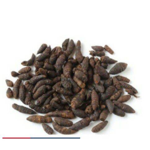 Củ gấu (cỏ gấu khô) 500gr  HB108