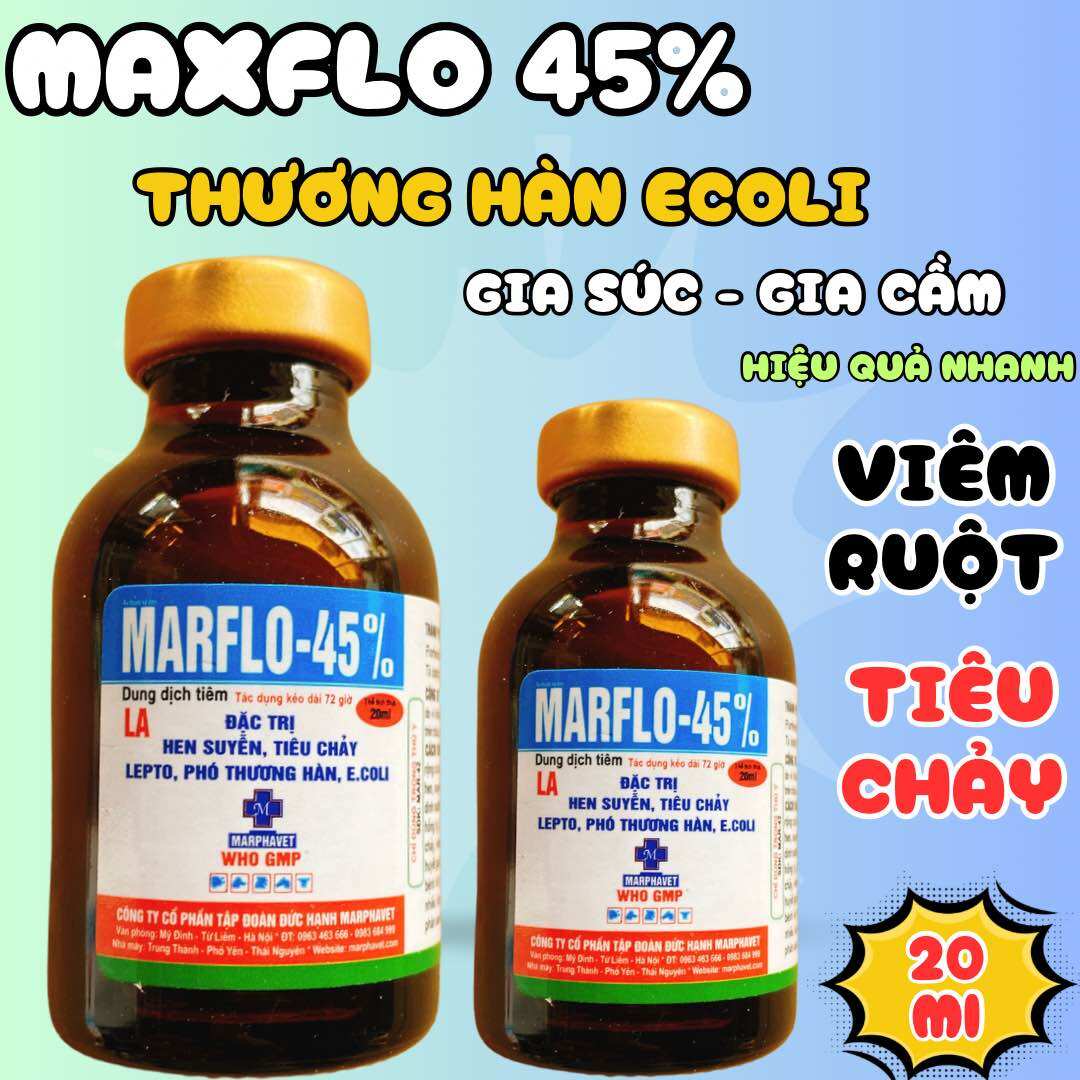 Marflo 45% tiêu chảy, viêm phổi cấp gia súc, gia cầm 20ml
