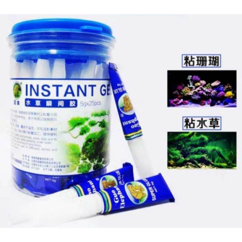 Keo dán rêu, ráy, cây thủy sinh, tuýp xanh cho hồ thủy sinh