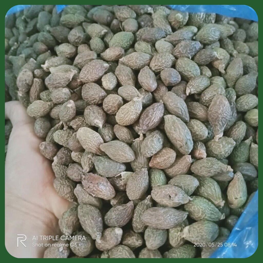 Hạt ươi bay loại đặc biệt siêu nở ( Hạt size lớn) túi 250gr