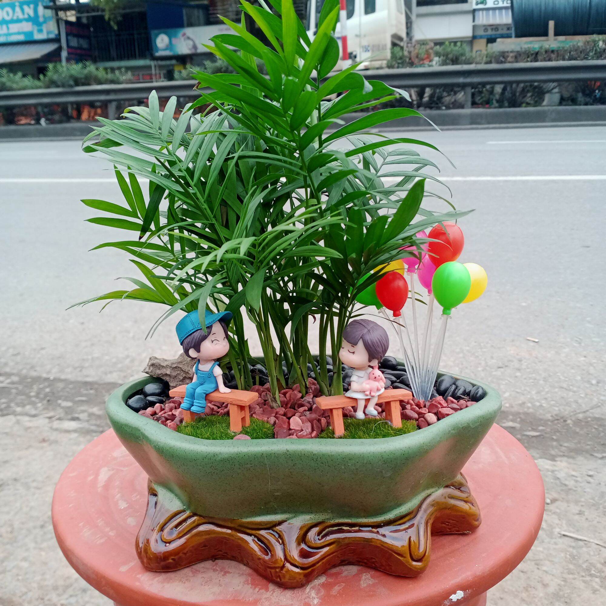 Ang trồng cây, chậu trồng cây