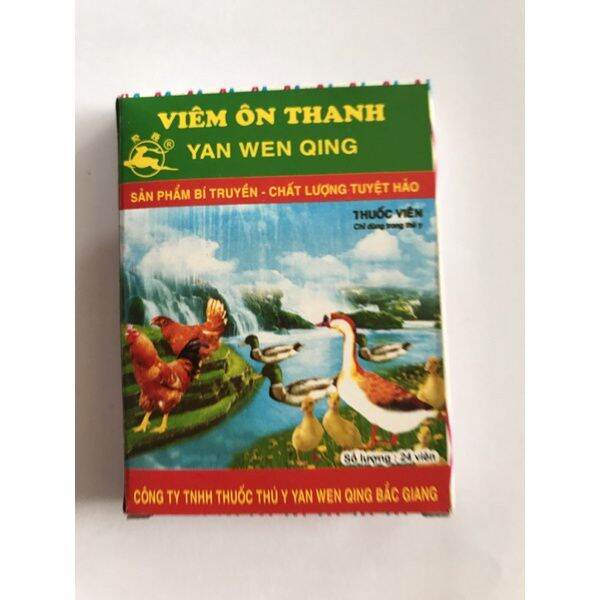 Viêm ôn thanh vỉ- quốc hưng vet