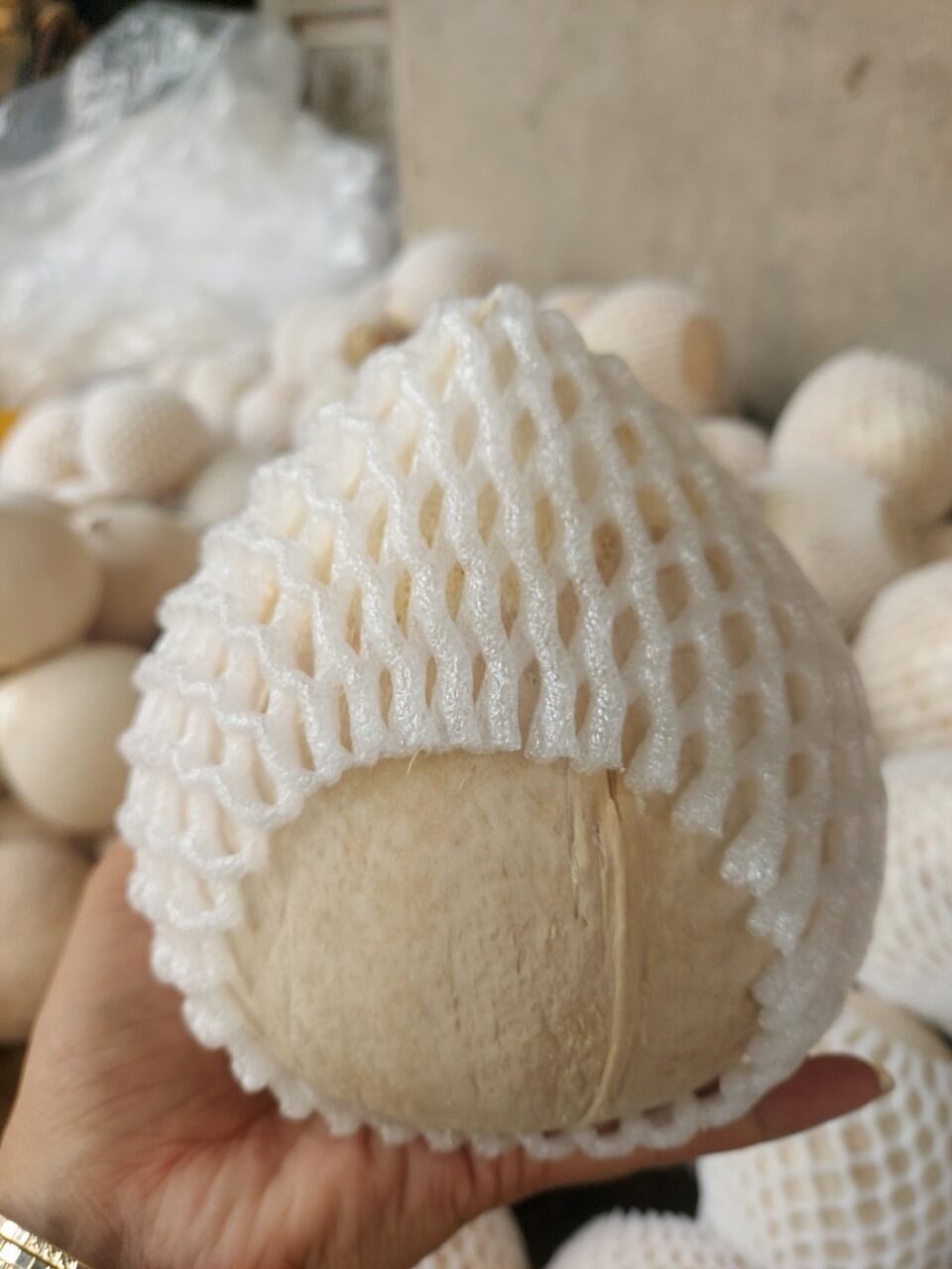 Xiêm gọt trọc size 350 đến 450
