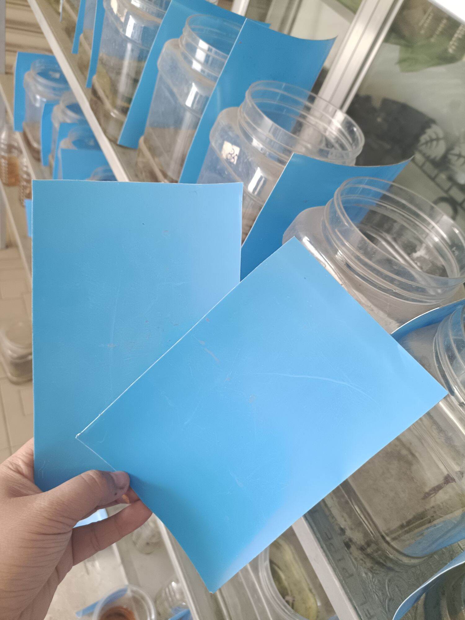 2 miếng chắn hồ cá betta
