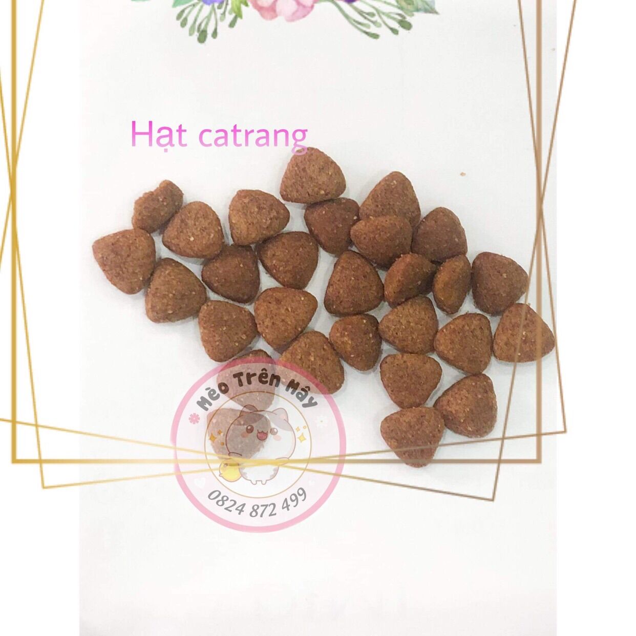 1KG ❤️ HẠT CATSRANG 1KG TÚI CHIẾT❤️